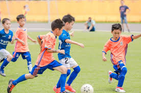 bsports必一体育 室内减肥健身的运动